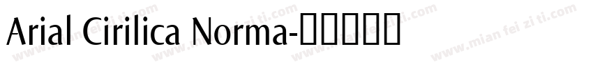 Arial Cirilica Norma字体转换
